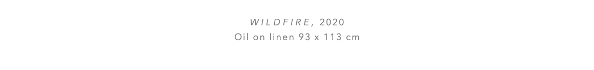  WILDFIRE, 2020 Oil on linen 93 x 113 cm 