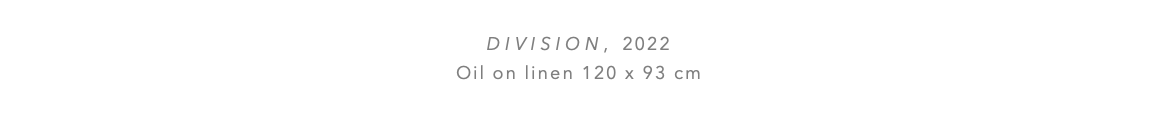  DIVISION, 2022 Oil on linen 120 x 93 cm 
